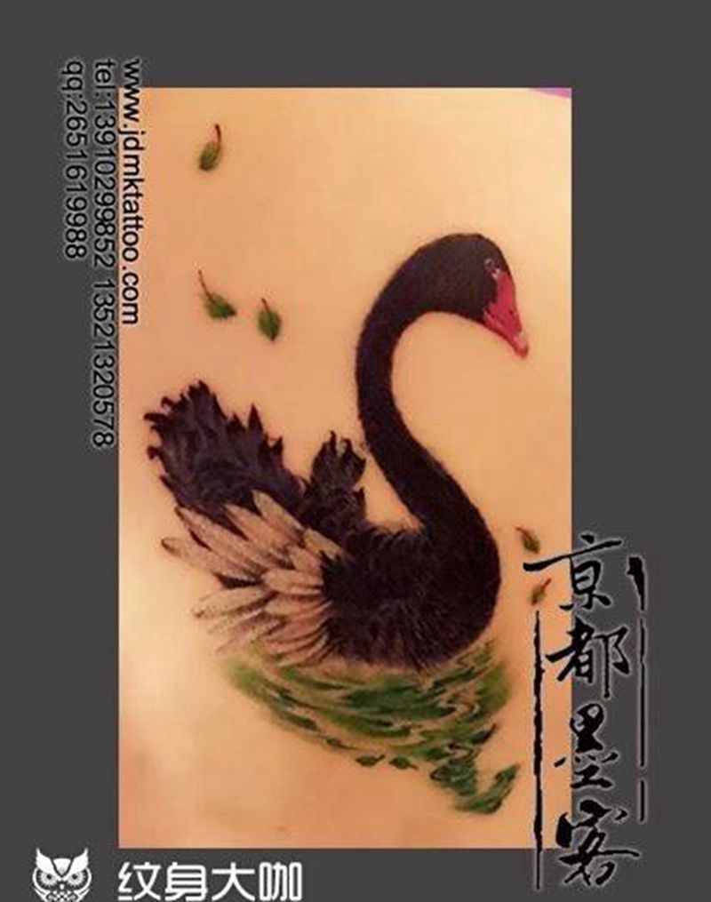 京都墨客刺青---完美遮盖作品纹身图片_手稿成品原创写实国画动物纹身图案