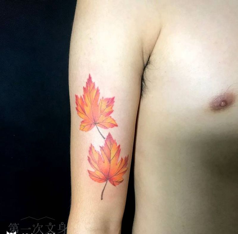 枫叶纹身图片_背部手臂腿部欧美写实植物成品纹身图案