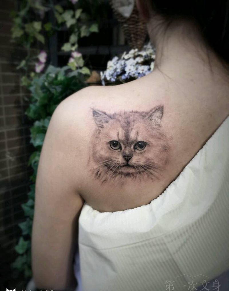 猫咪纹身图片_胸部背部手臂腿部欧美写实动物原创成品纹身图案