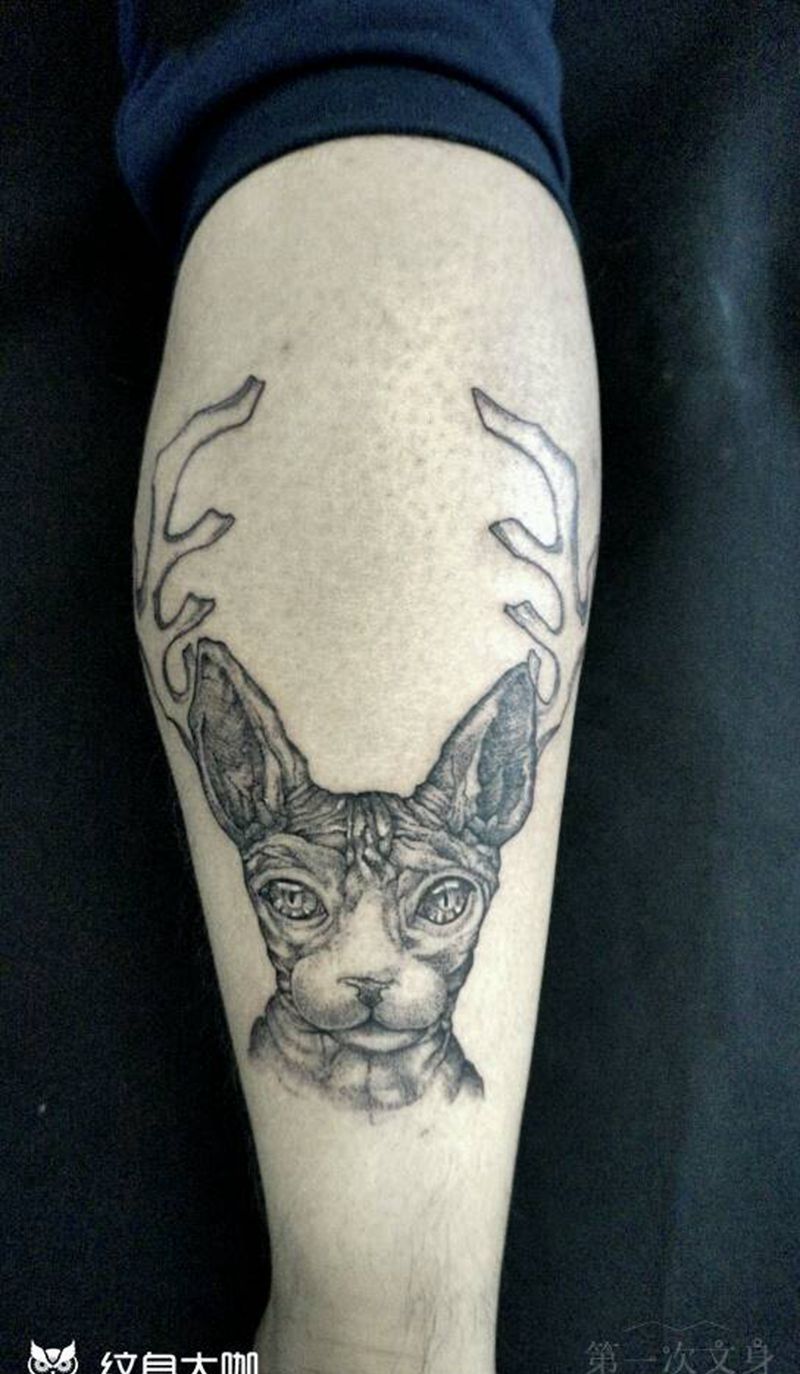 斯芬克斯纹身图片_手臂腿部欧美动物原创成品纹身图案