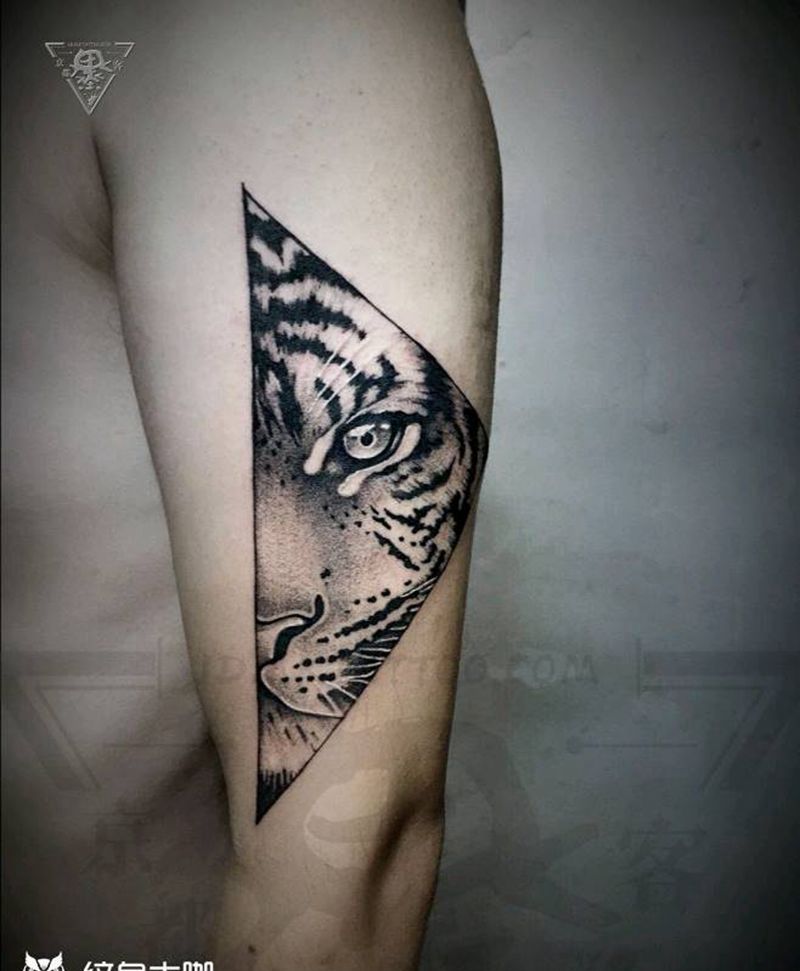 纹身/刺青/老虎/狮子纹身图片_手臂腿部欧美写实几何纹身图案