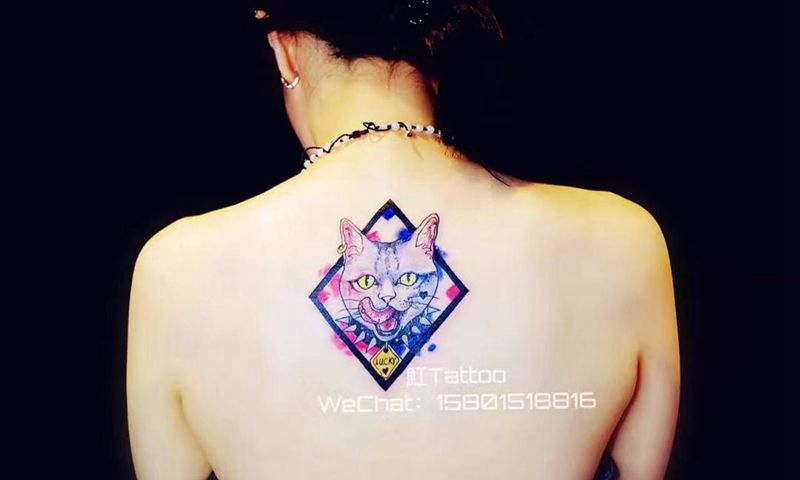 一只俏皮的小猫