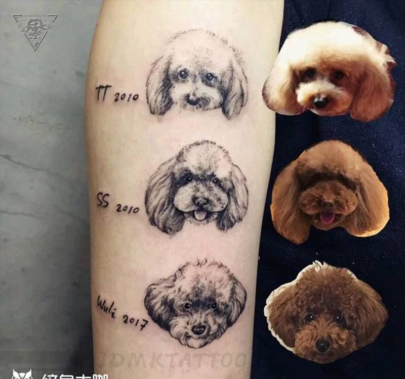 纹身/刺青/宠物纹身图片_手臂背部欧美写实写实宠物纹身图案