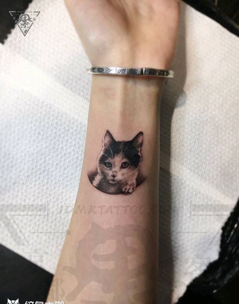 纹身/刺青/宠物写实纹身图片_手臂欧美写实猫纹身图案