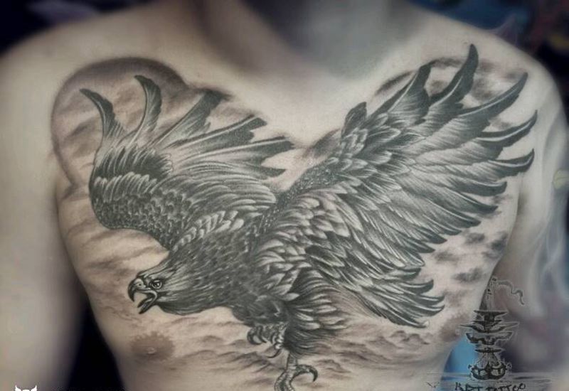 苍鹰纹身图片_胸部写实刺青鹰成品纹身图案