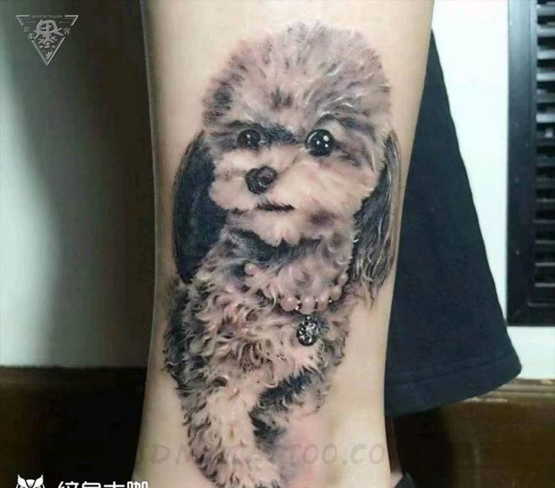 纹身/刺青/宠物写实纹身图片_腿部欧美写实宠物纹身图案