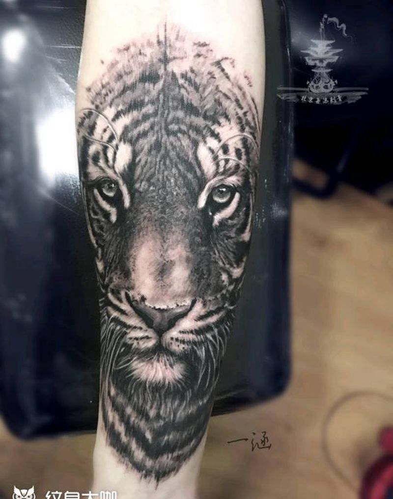 老虎纹身图片_手臂写实动物原创老虎成品纹身图案