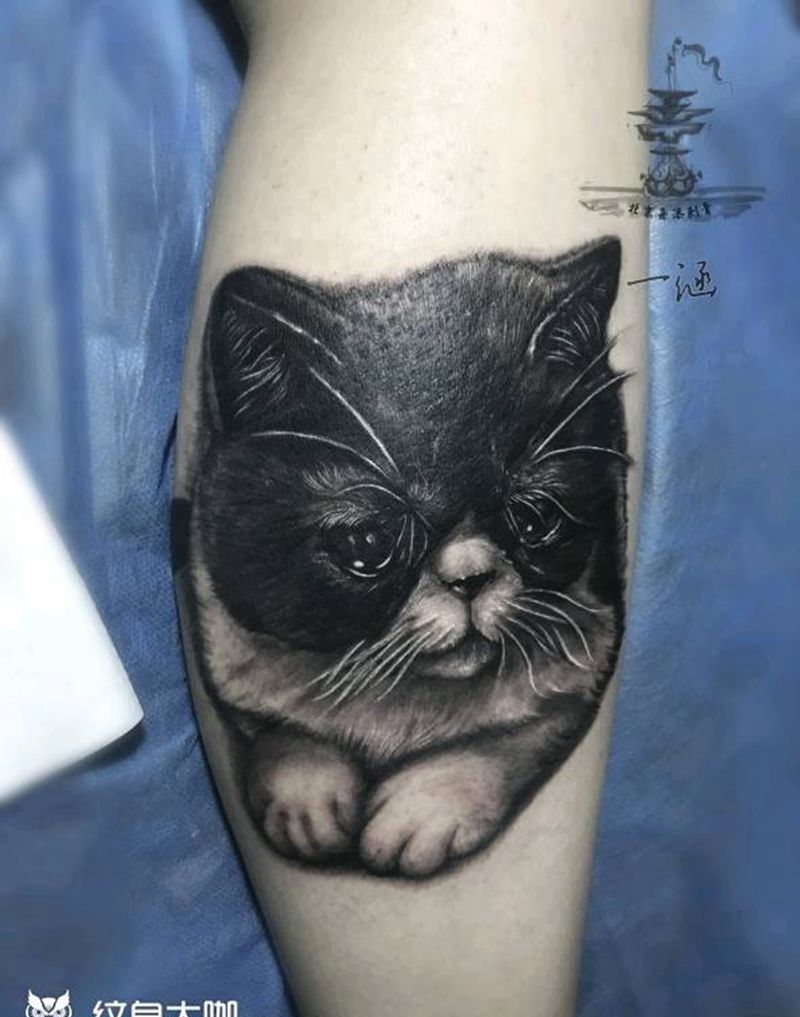 呆萌猫纹身图片_腿部肖像写实动物原创成品纹身图案