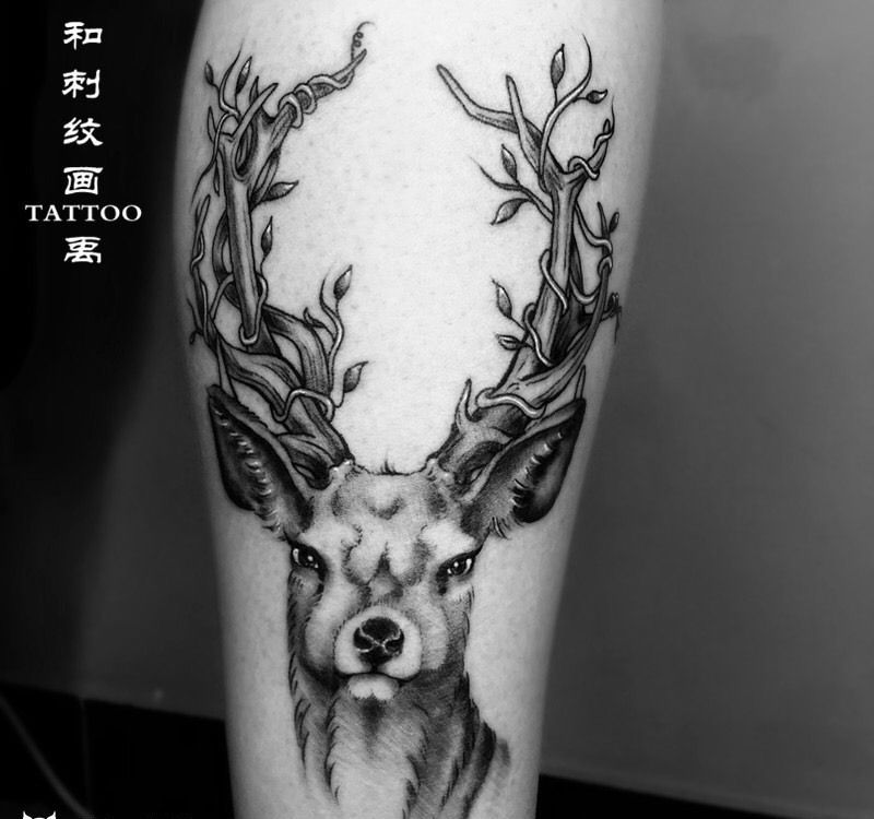 鹿纹身图片_成品腿部欧美肖像写实动物鹿纹身图案