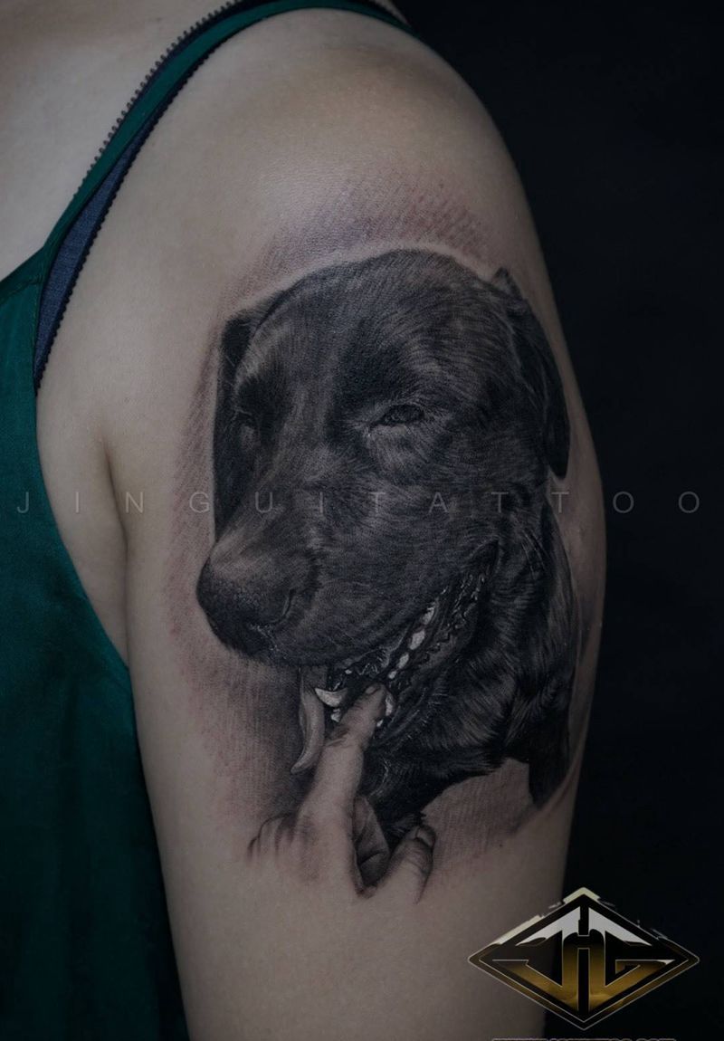 拉布拉多纹身图片_