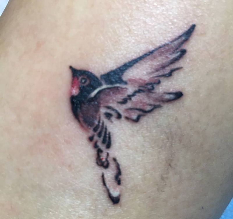 鸟纹身图片_
