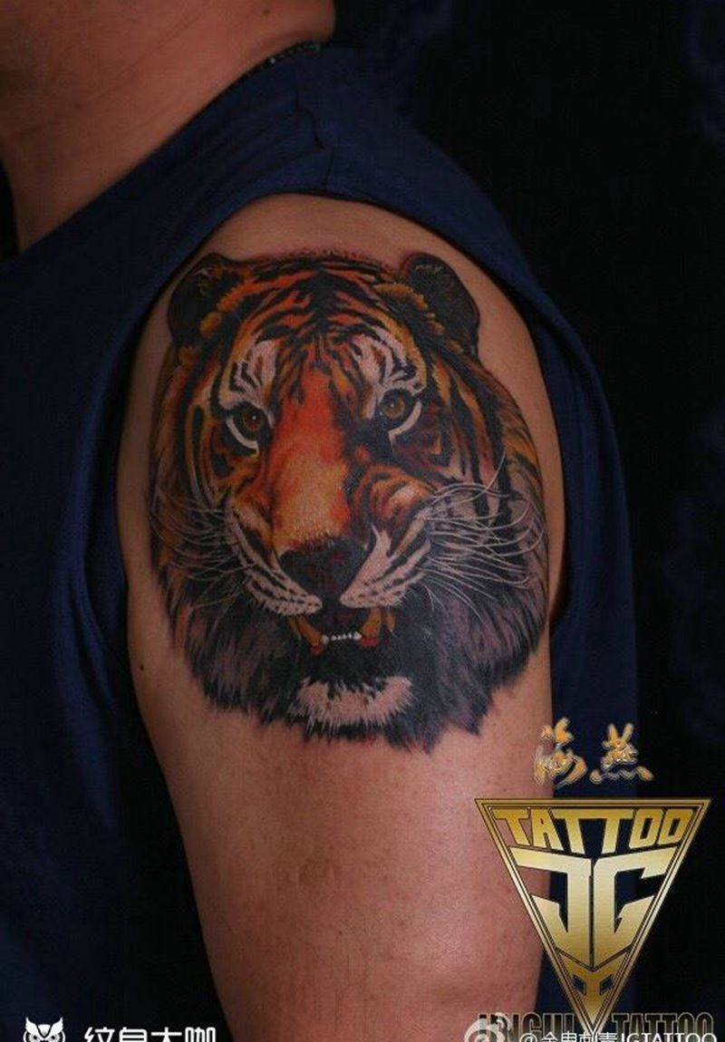 老虎纹身图片_