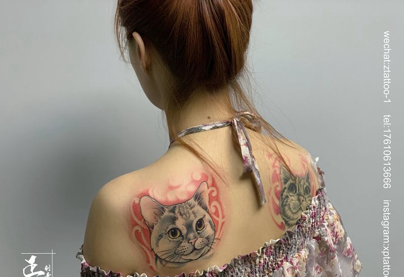 猫主纹身图片_肩部背部New School新传统猫猫纹身School纹身纹身图案