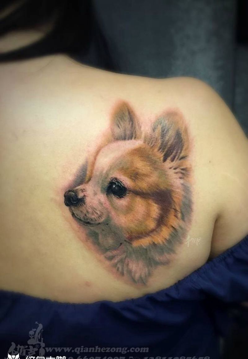 宠物肖像纹身图片_传统写实国画欧美成品肩部手臂人物动物原创纹身图案
