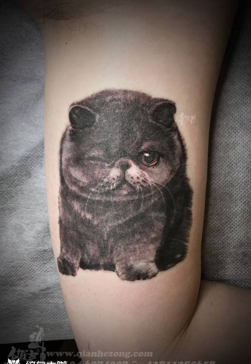 猫纹身图片_人物动物原创国画肖像传统欧美成品手臂纹身图案