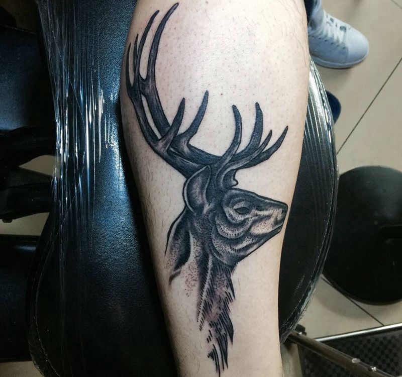 今日工作小鹿完成纹身图片_