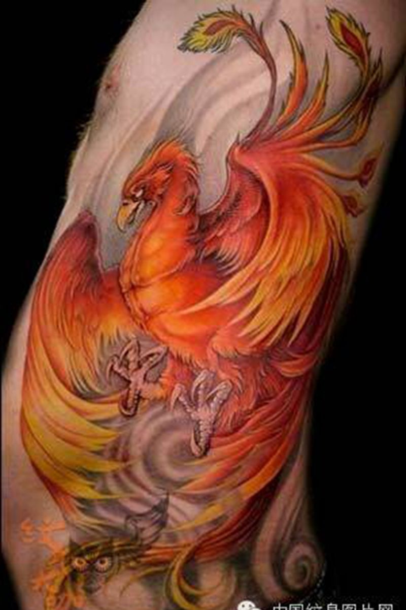 那些凤凰！纹身图片_
