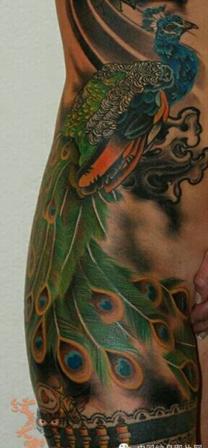 那些孔雀！纹身图片_