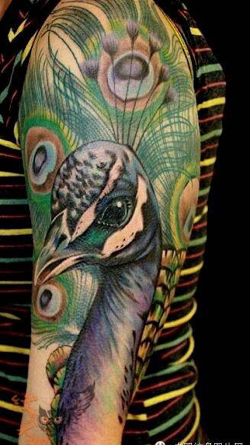 那些孔雀!纹身图片_