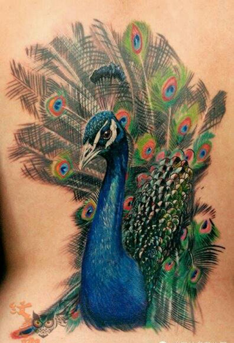 那些孔雀！纹身图片_