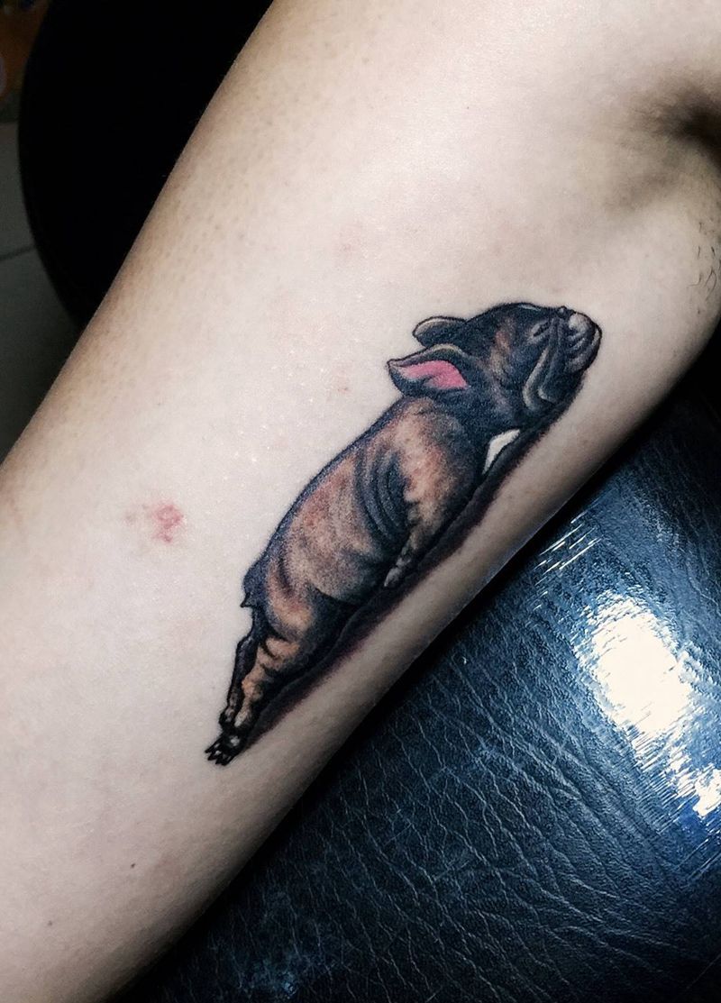 今日工作小法斗！纹身图片_手臂欧美写实动物清新纹身图案