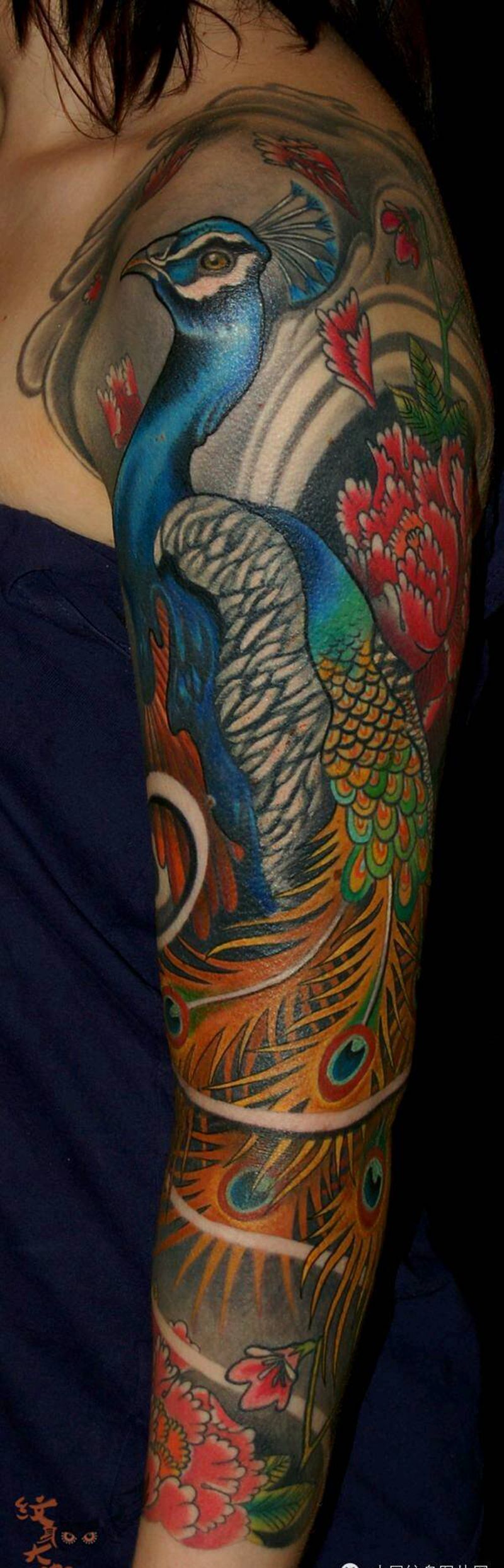 那些孔雀！纹身图片_