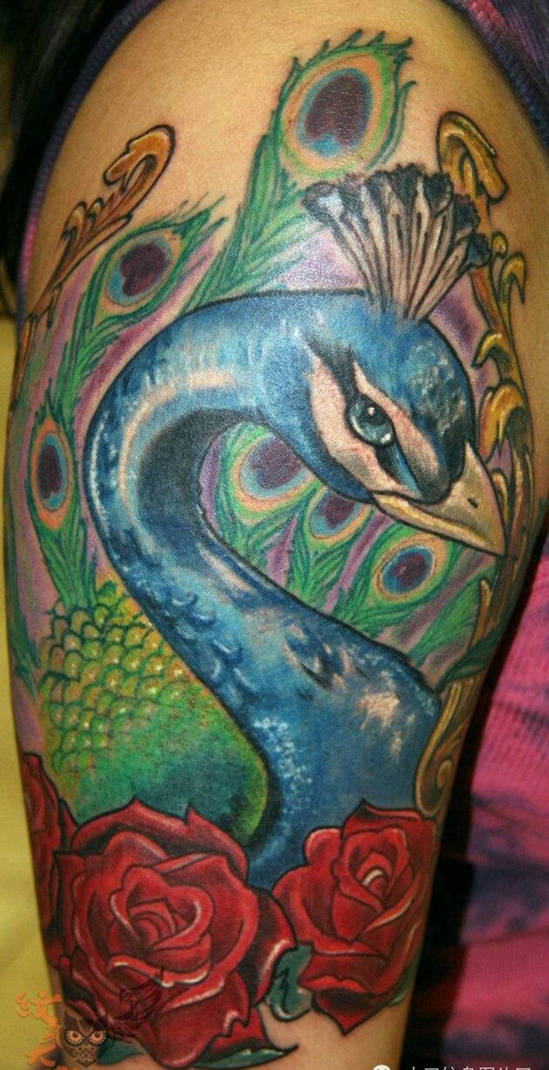 那些孔雀！纹身图片_