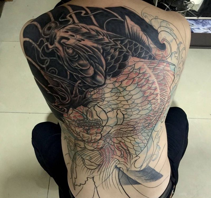 今日工作满背遮盖重彩鲤鱼纹身图片_背部传统动物植物纹身图案