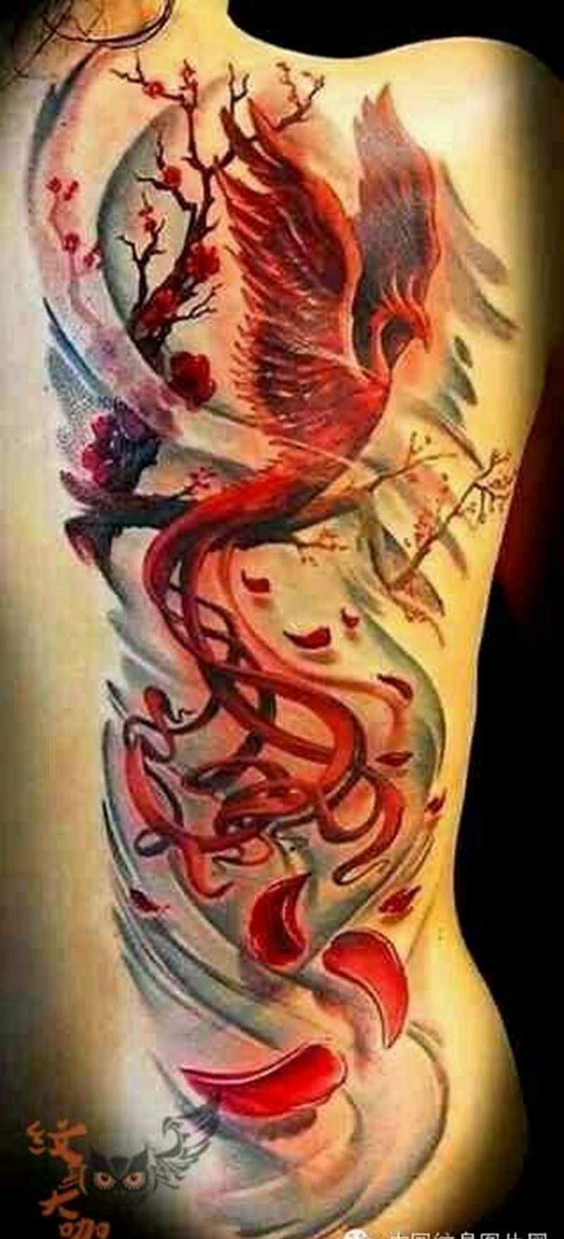 那些凤凰！纹身图片_