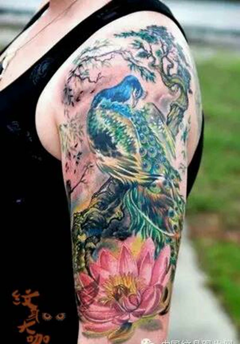 那些孔雀！纹身图片_
