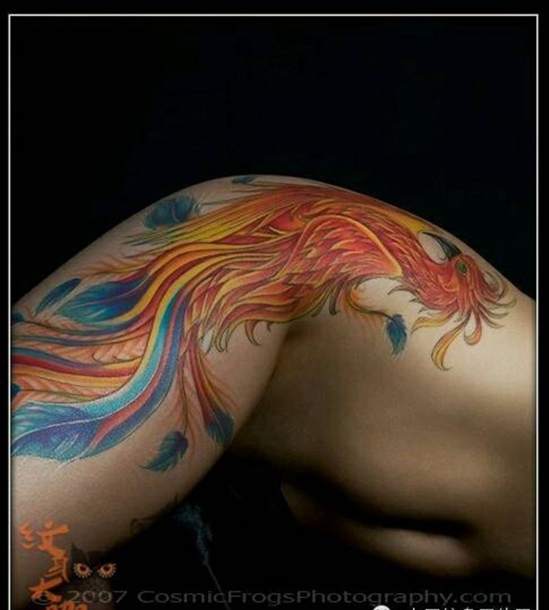 那些凤凰!纹身图片_