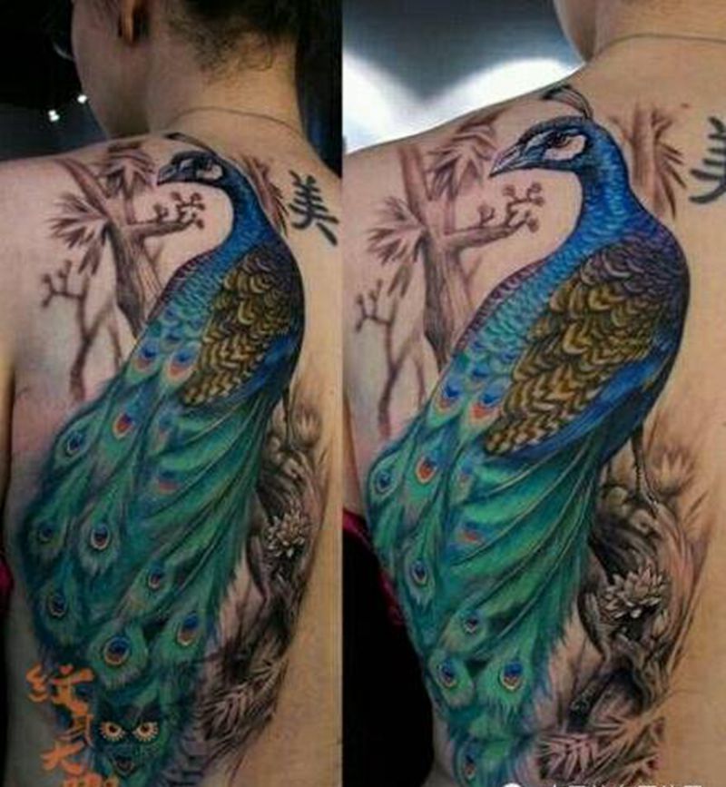 那些孔雀！纹身图片_