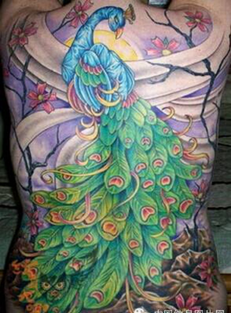 那些孔雀!纹身图片_