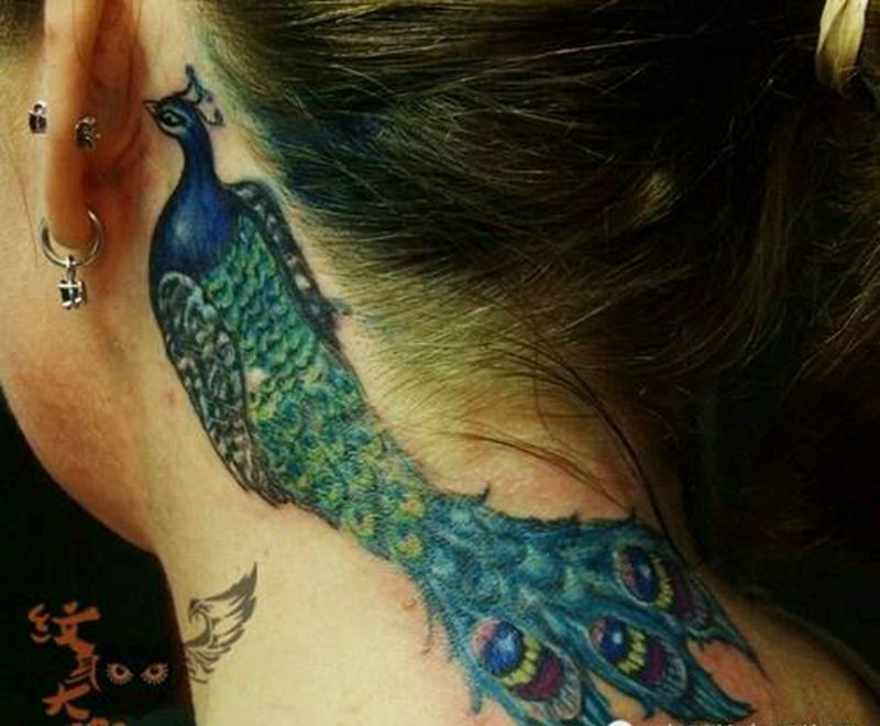 那些孔雀!纹身图片_