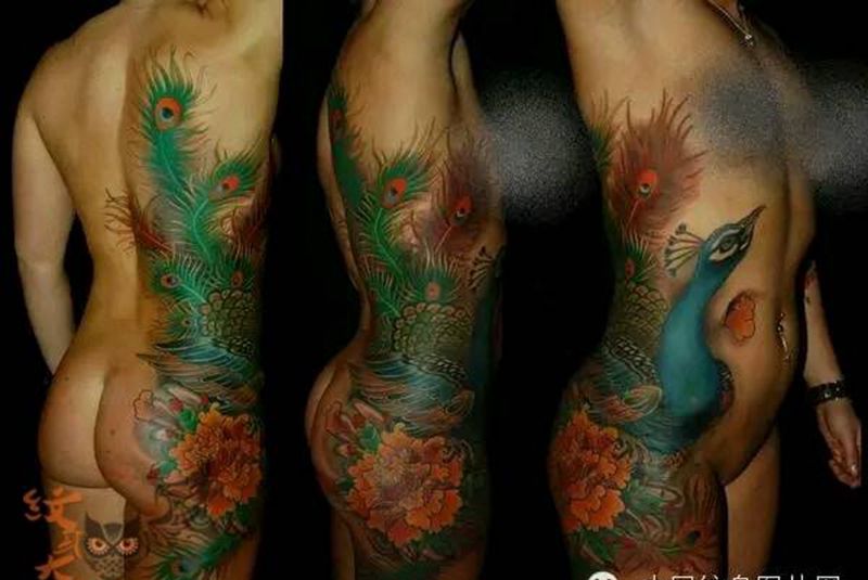 那些孔雀!纹身图片_