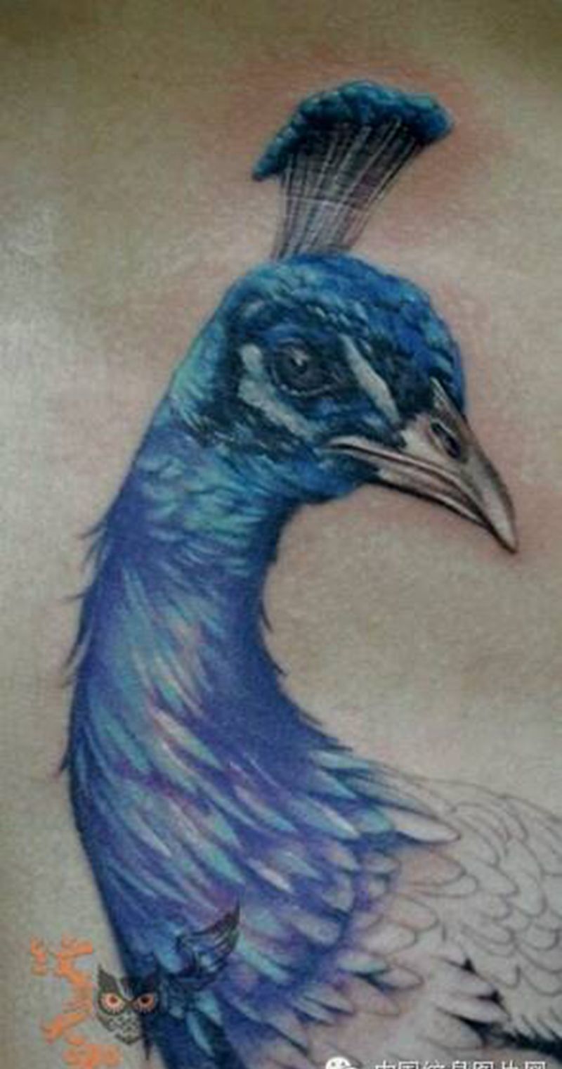 那些孔雀！纹身图片_
