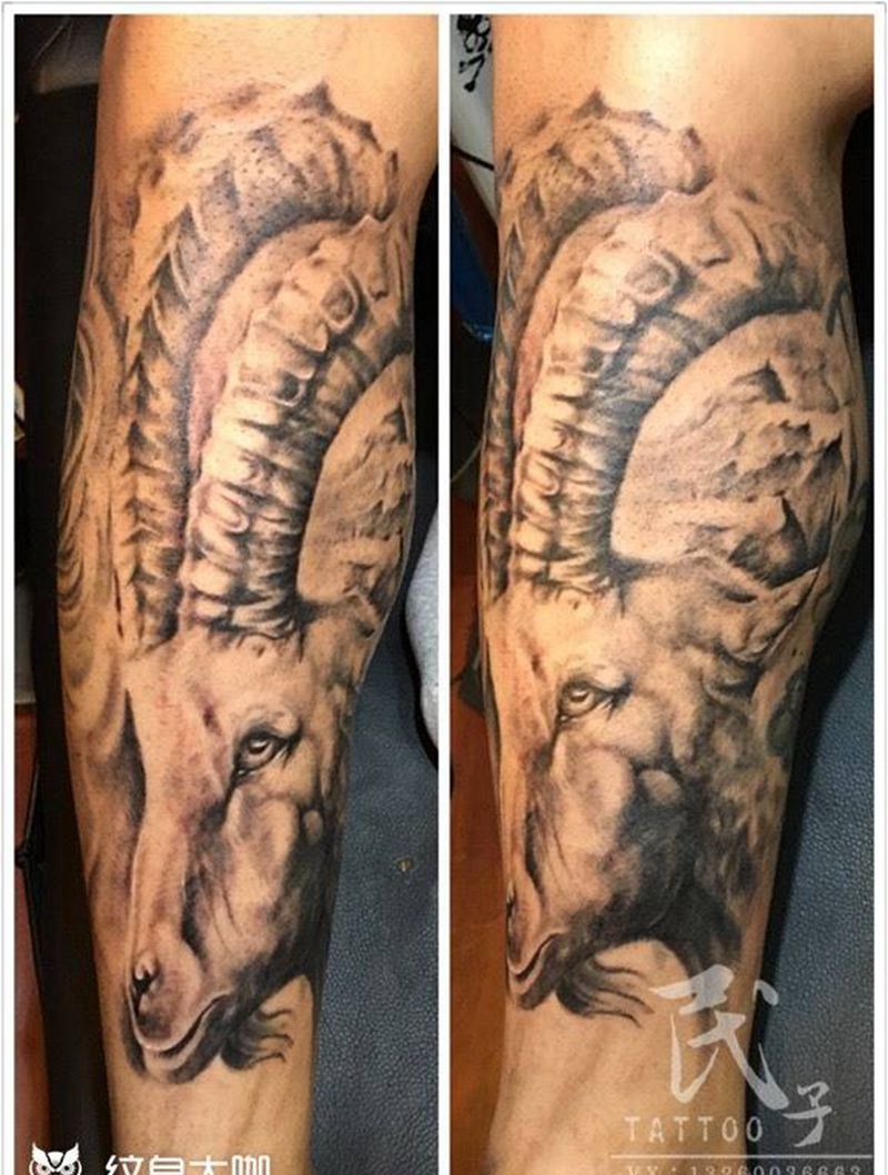 羊头纹身图片_