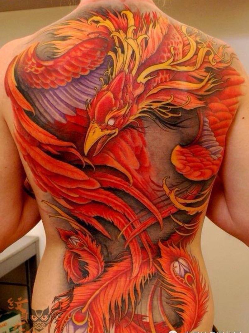 每日素材更新-凤凰纹身图片_