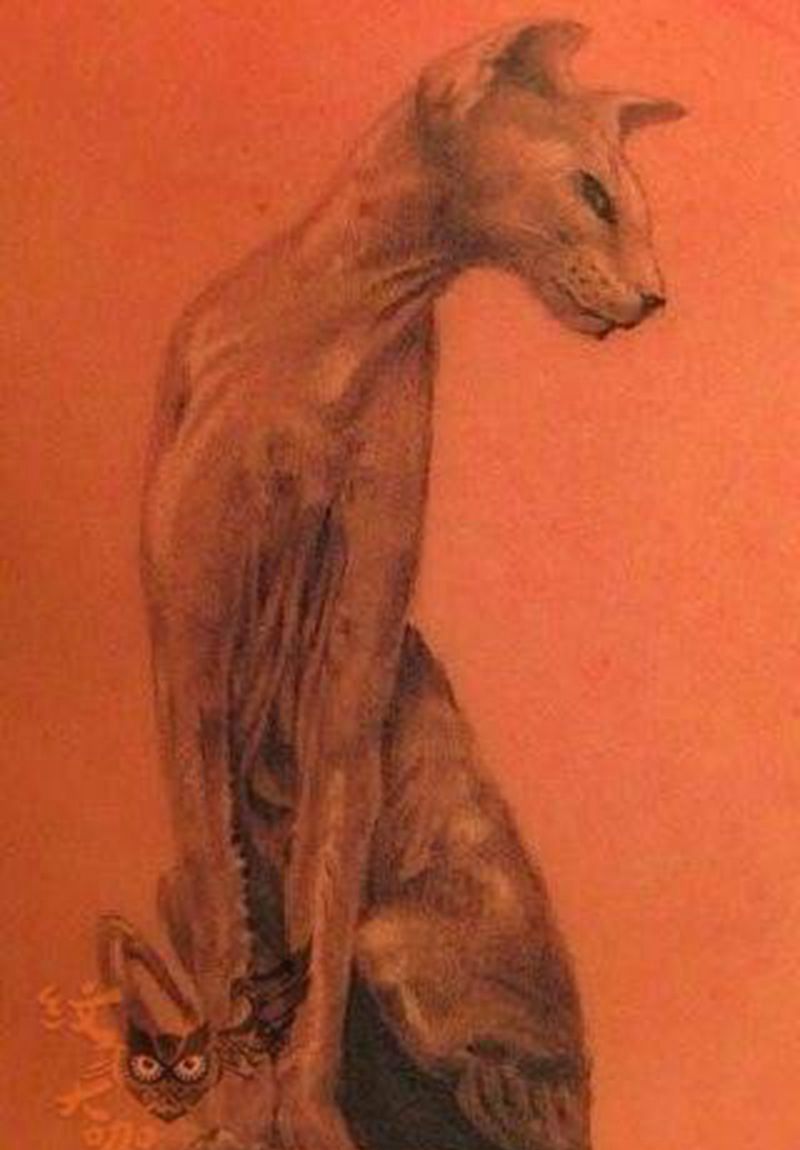 猫纹身图片_