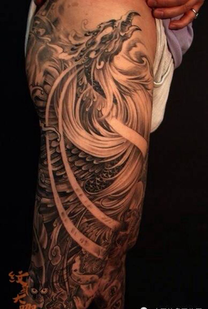 每日素材更新-凤凰纹身图片_