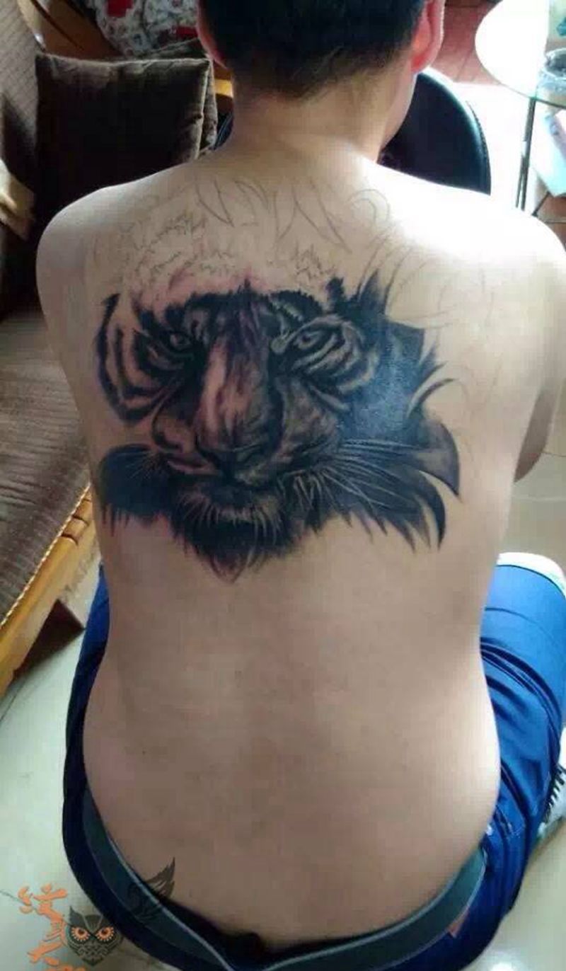 作品回顾纹身图片_