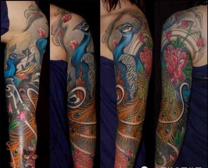 每日素材更新-孔雀纹身图片_