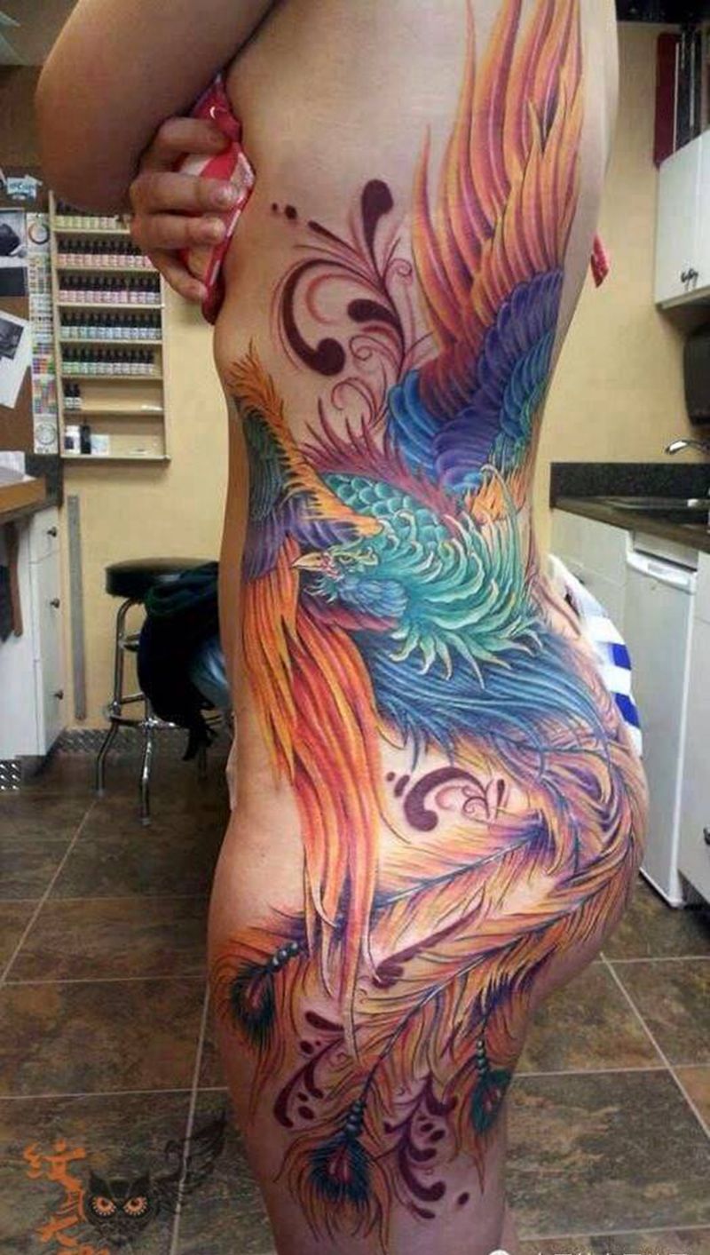 每日素材更新-凤凰纹身图片_