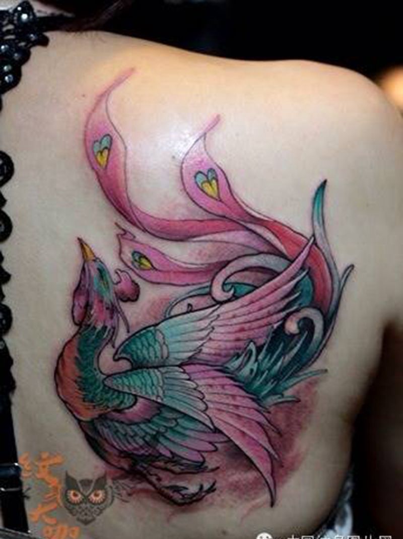 每日素材更新-凤凰纹身图片_