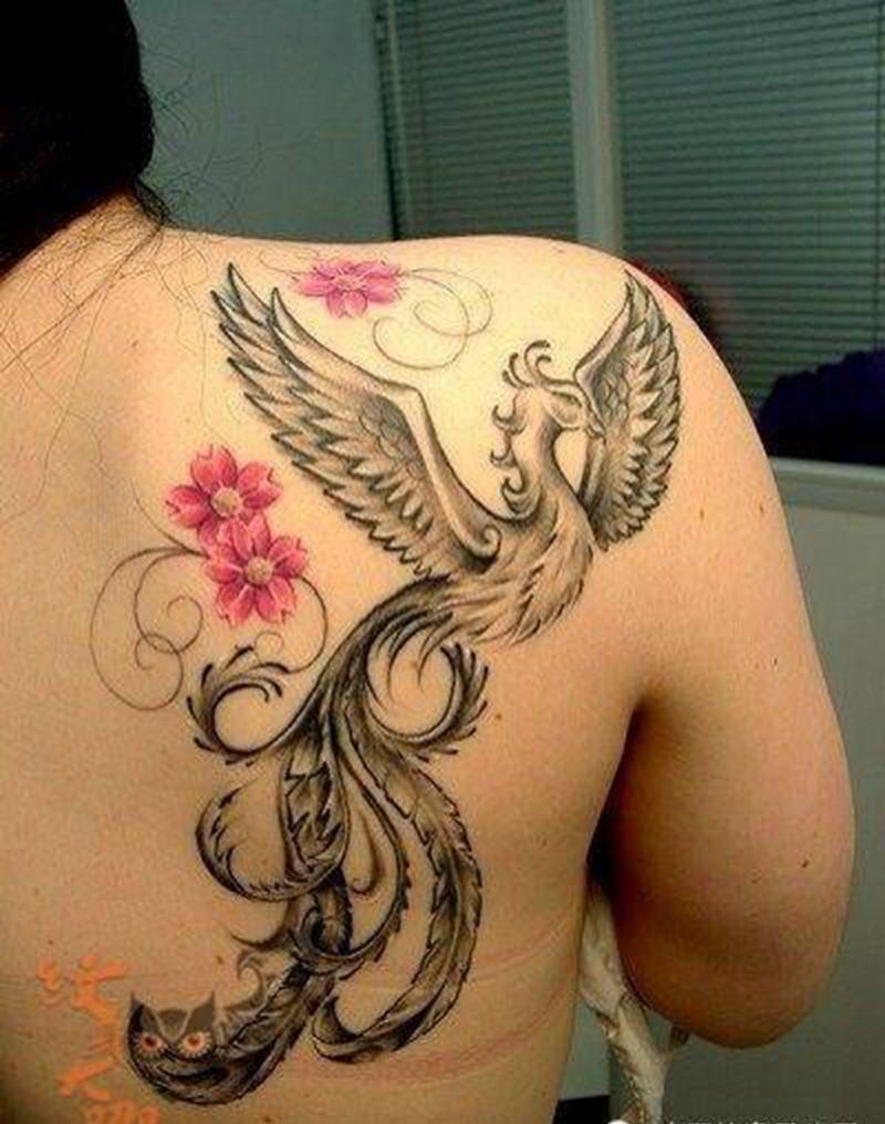 每日素材更新-凤凰纹身图片_