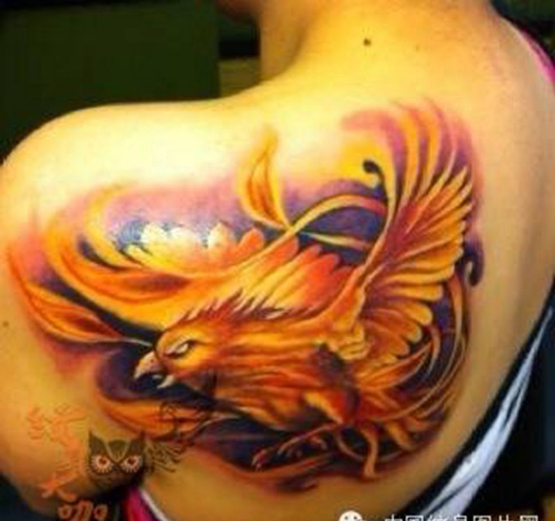 每日素材更新-凤凰纹身图片_