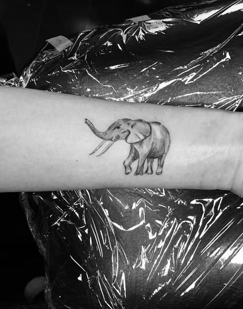 小象纹身图片_