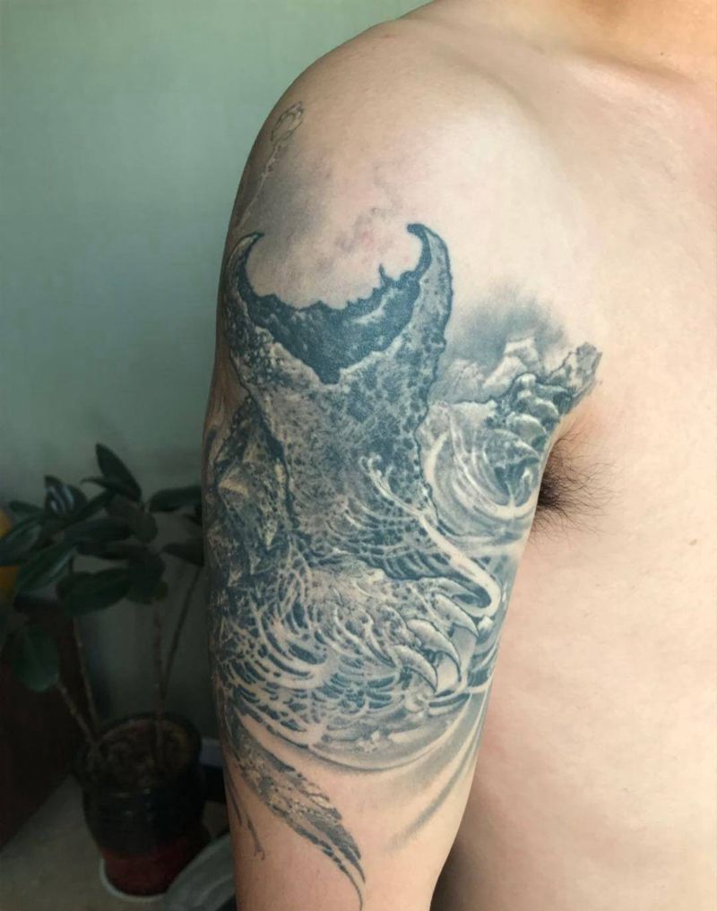 鳄龟 恢复2年后纹身图片_