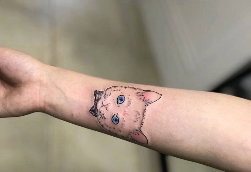 自己的猫纹身图片_