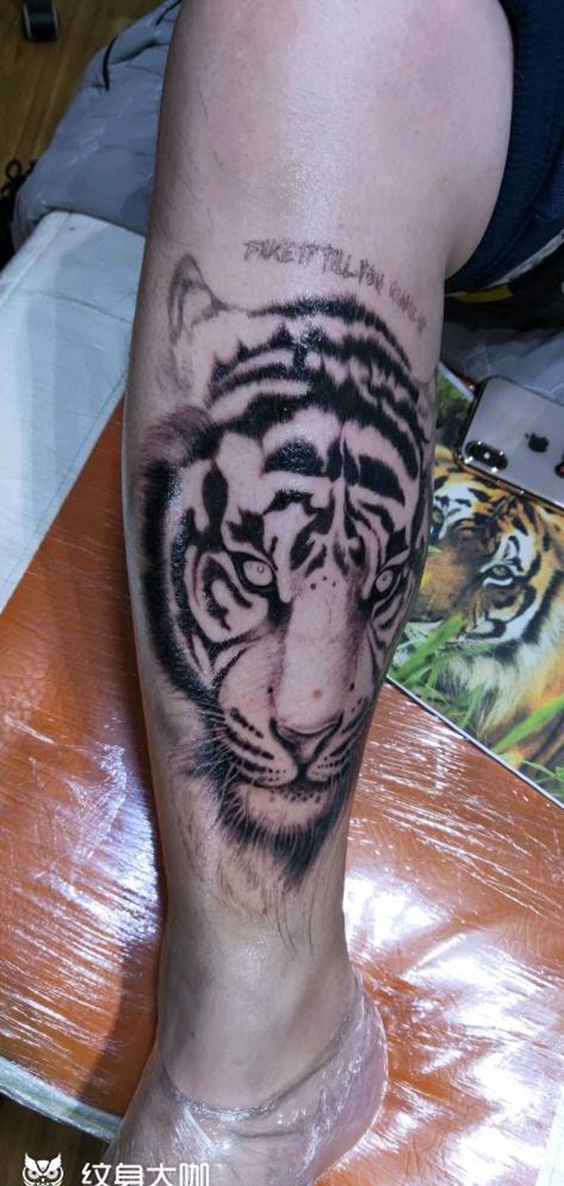 虎纹身图片_